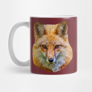 Fox Face Mug